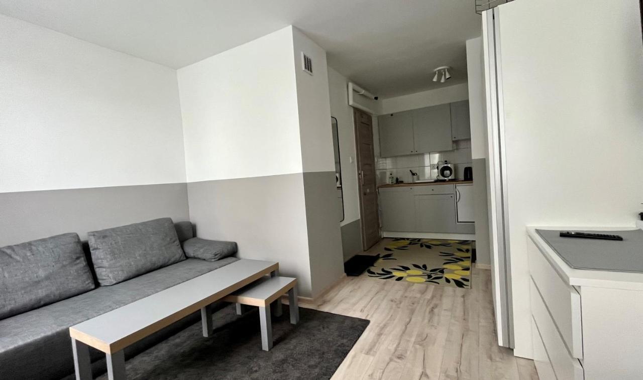 Mlawska 33 Apartment Rypin ภายนอก รูปภาพ
